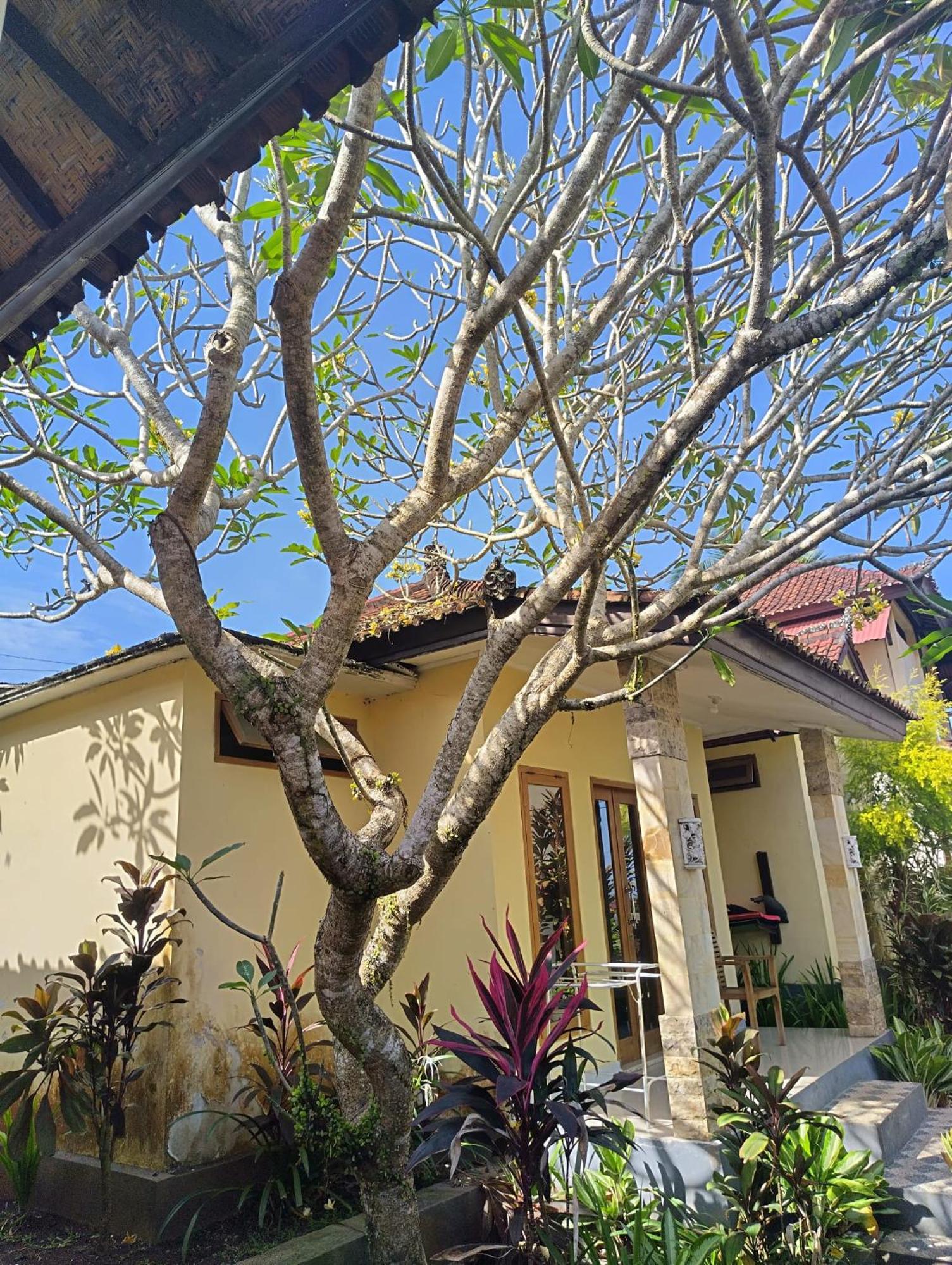 Kirra'S Beach House Pulukan Eksteriør billede
